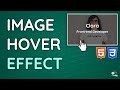 Gambar cover Image Hover Text Overlay Effect with HTML & CSS - Web Design Tutorial