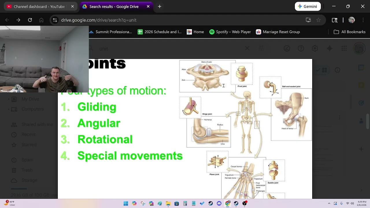 Basic Anatomy lesson 3