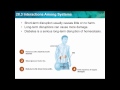 The Interconnected Role of Body Systems in Maintaining Homeostasis