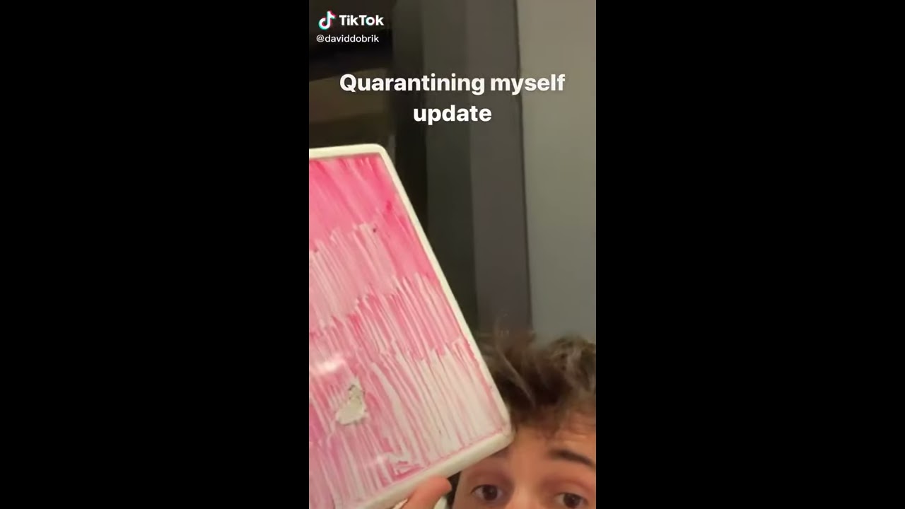 This is what David Dobrik has been upto I Vlog Squad Moments 