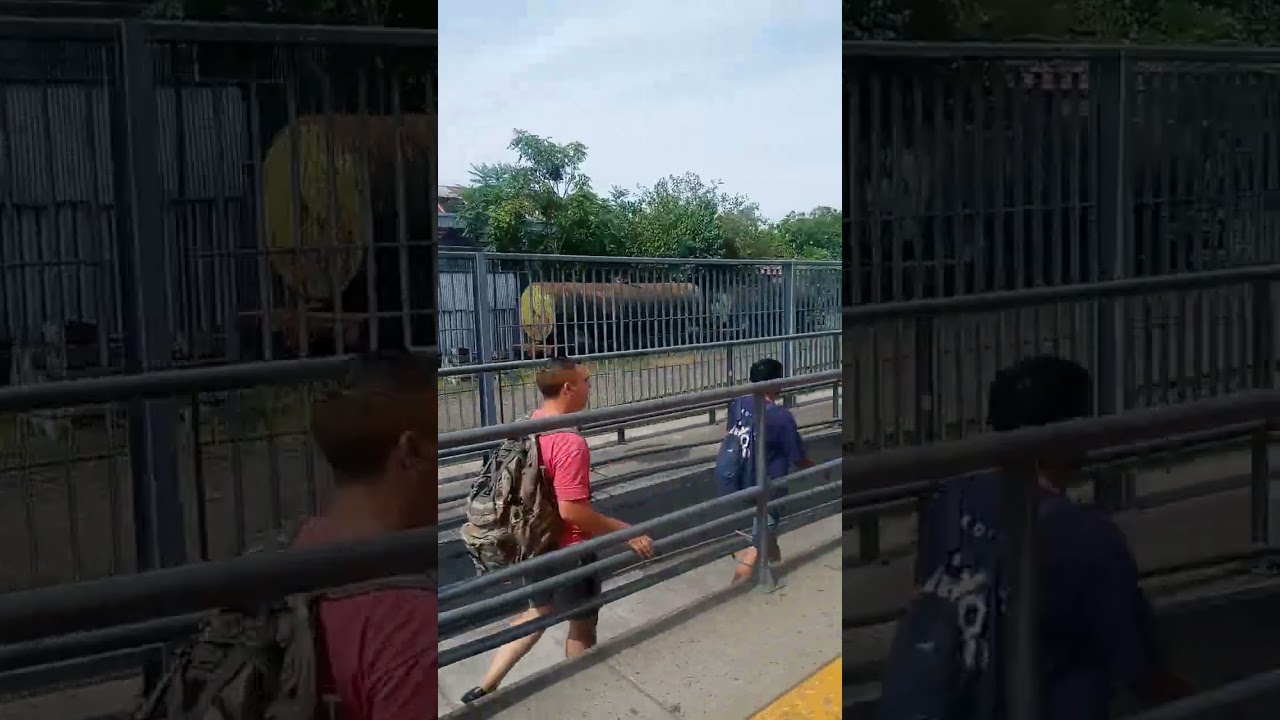 viaje Estación Fernandez Moreno, Lynch y Devoto, Ferrocarril Urquiza
