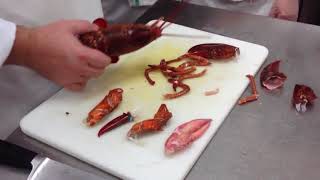 Lobster