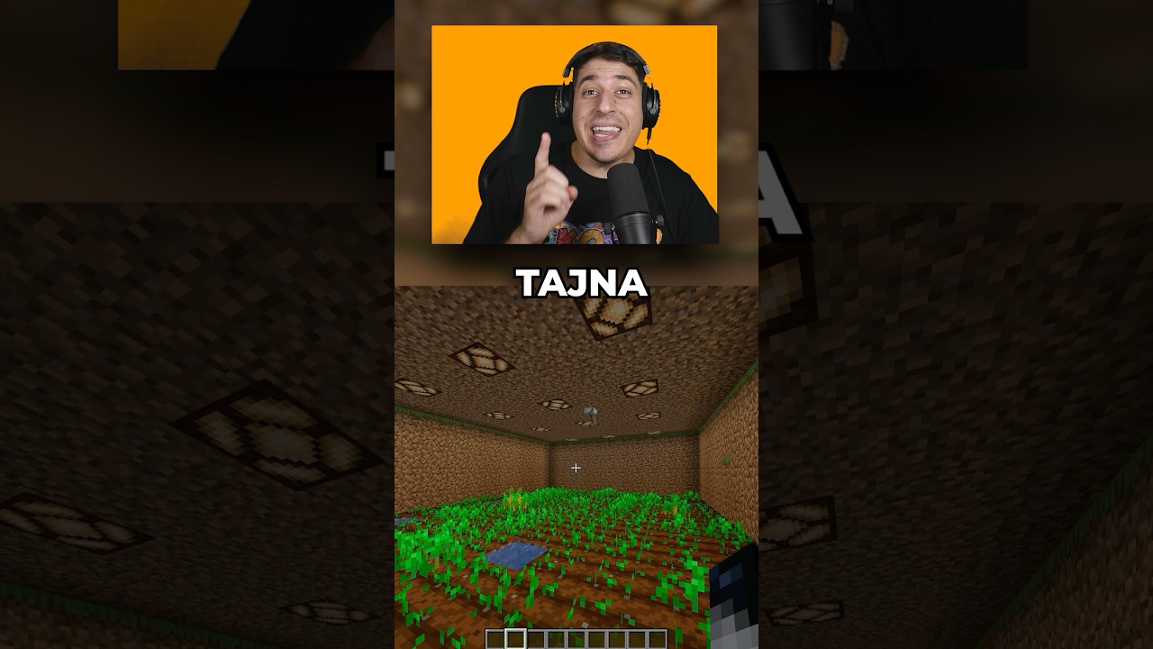 MINECRAFT TAJNA 6