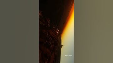 Kaatera WhatsApp status video | #Kaatera |#D56 | #DBOSS| #ABSCreator