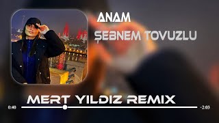 Şebnem Tovuzlu - Ömrüme Kış Geldi Anam ( Mert Yıldız Remix ) Resimi