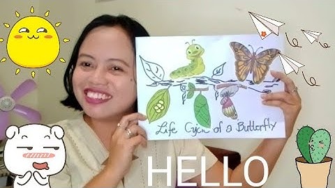 Identifying Basic Sequence of Events and Making Relevant Predictions about Stories.