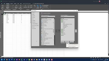 83.  Customizing Ribbon - Microsoft Project Online