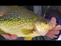 Ice Fishing Crappie Secrets