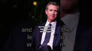 California governor vetoes artificial intelligence safety measures #shorts