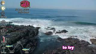 22 July 2024 Shad Fishing Report for KZN introducing the MYDO Shad Trace for Movers and Shakers