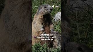Celebrate Groundhog Day Without Exploiting Groundhogs