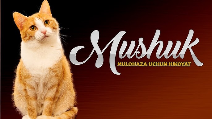 Ular uni mast qilib, sikishdi va kameraga suratga olishdi. Yigitga SMS yozish uchun qanday shahvoniy narsalar