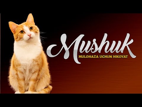 Vaginadan qulupnay Alexa yalangoch