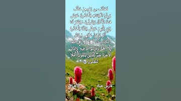 فارس عباد تلاوة خاشعة ⚘️💗حالات واتس اب دينية مؤثرة