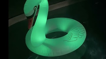 Glow All Night with the Solar Inflatable Swan!