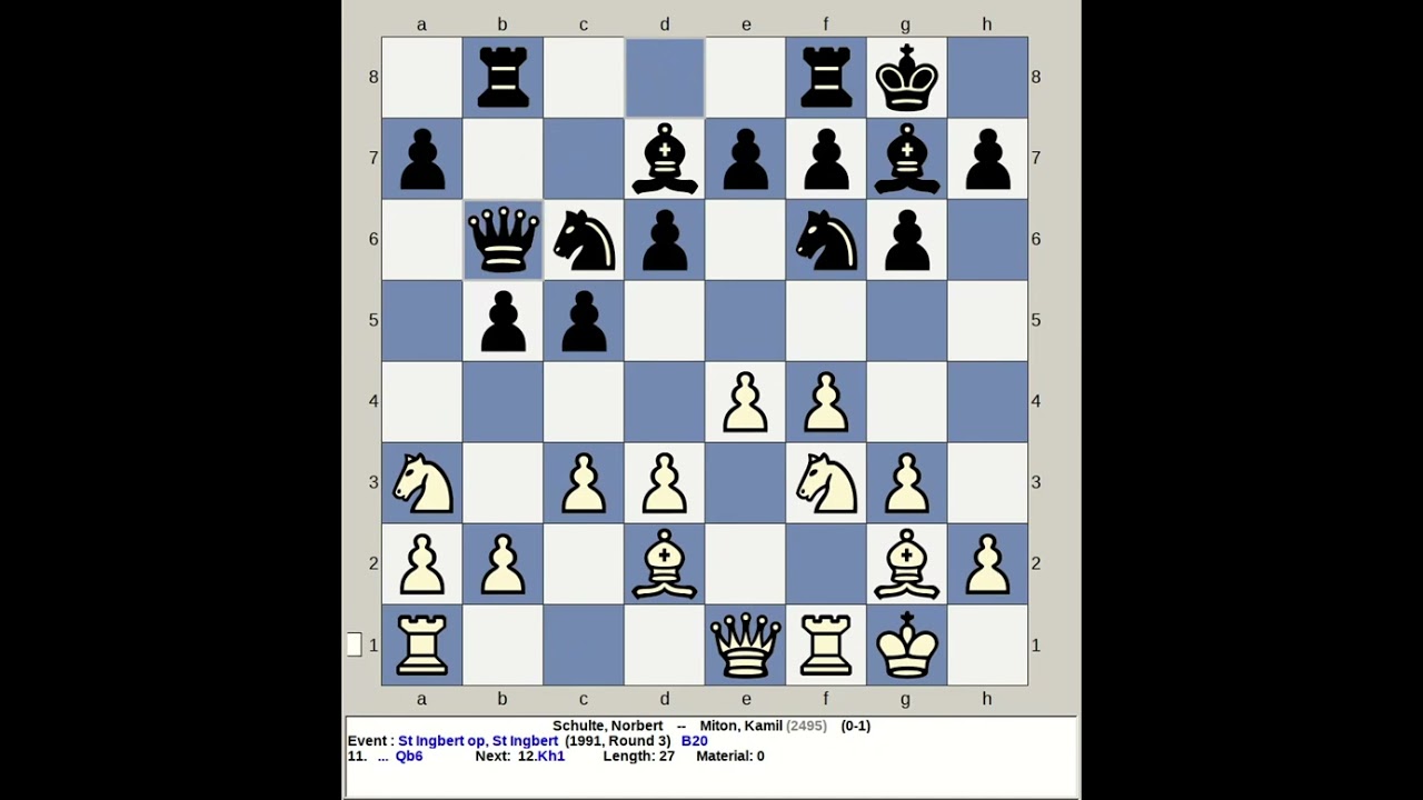 Schulte, Norbert vs Miton, Kamil | St Ingbert Chess Open 1991, Germany