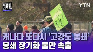 캐나다, 또다시 '고강도 봉쇄'…봉쇄 장기화 불만 속출 [글로벌 리포트] / YTN korean