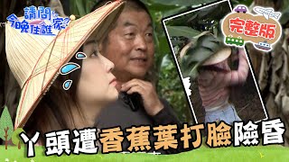 【南投】丫頭深入深山找商機！當眾下訂神祕水果味茶葉！採收香蕉竟遭葉片打臉險昏厥？！📌竹山【請問 今晚住誰家】20230719 EP785 王傳一 陳漢典 詹子晴