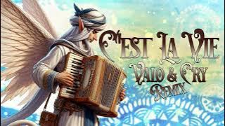 Khaled - C'EST LA VIE - VALO & CRY rmx