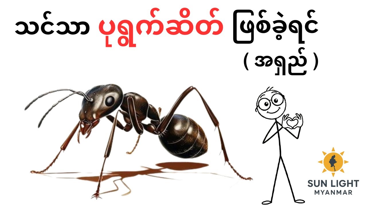 သင်သာ ပုရွက်ဆိတ် ဖြစ်ခဲ့ရင် ( အရှည် )