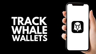 How To Track Whale Wallets On DexScreener - Step by Step