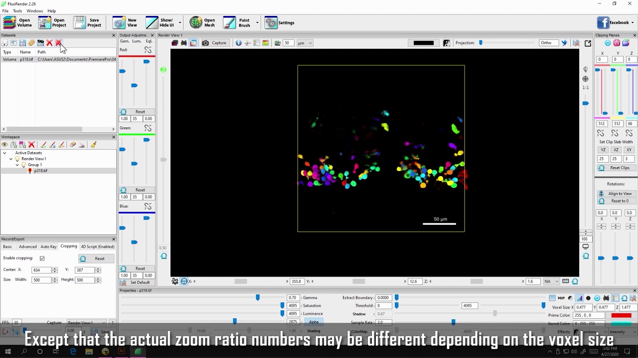 FluoRender Tutorial: Use Zoom Ratio Display Modes for Exporting Figure Panels