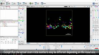 FluoRender Tutorial: Use Zoom Ratio Display Modes for Exporting Figure Panels Profile