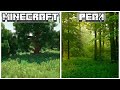 Биомы Minecraft в Реальной Жизни #1