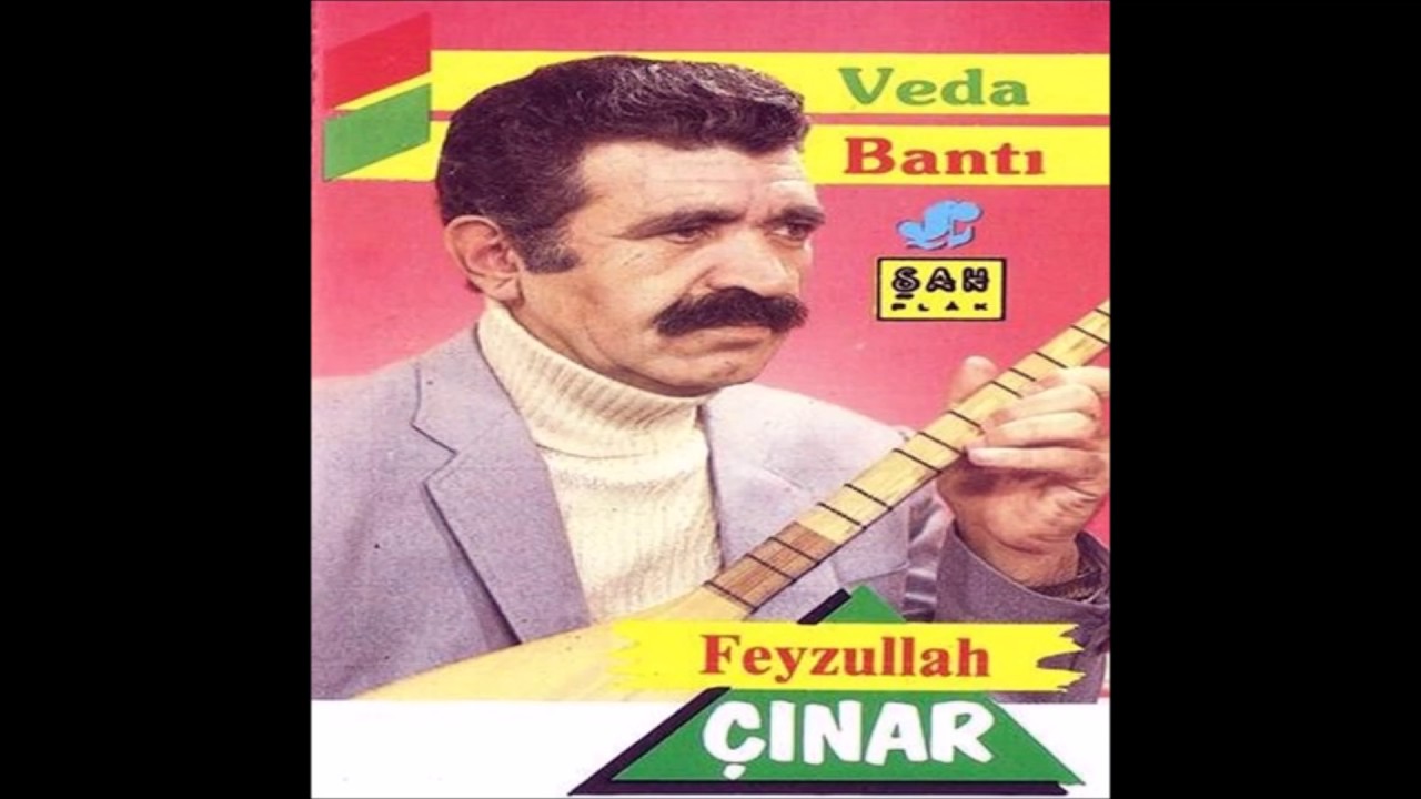FEYZULLAH ÇINAR. GELEMEM
