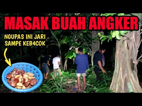 PENUH PERJUANGAN UNTUK MEMASAK DAN MENIKMATI BUAH GAYAM dari pohon yang dihuni g3nd3ruw0