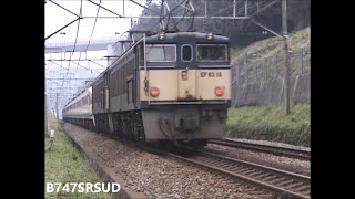 489系白山+EF63と189系あさま 横川~丸山変電所その2(碓氷峠シリーズ4)
