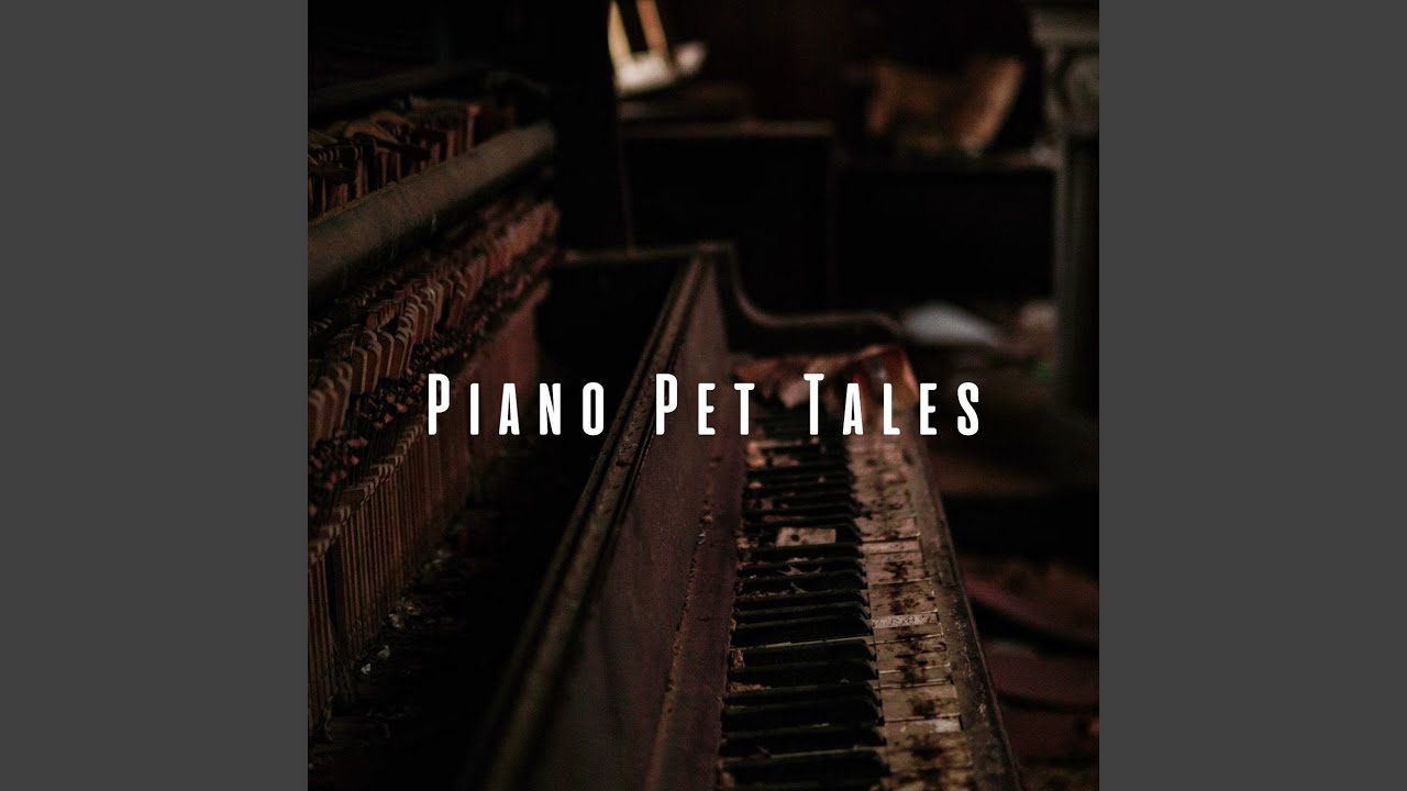 Calming Pet Piano
