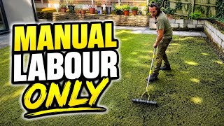 Complete Lawn Renovation Using Only HAND TOOLS.