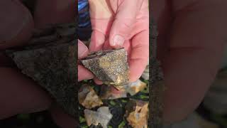 Our Finds at Nethers farm flint mine