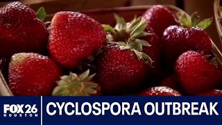 Cyclospora cases rising in 17 states, including Texas