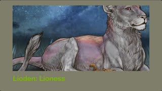 Lioden: Lioness