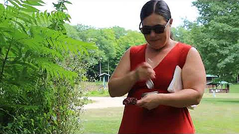 Misty Cook - Gathering and Using Sumac