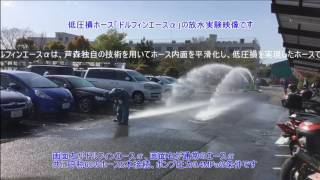 ドルフィン同一本数比較