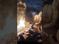 сталкер 2 Эдит #шортс #эдит #сталкер ☢️