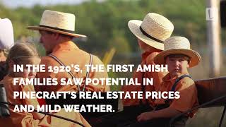 Here’s Why Amish Families Have Flocked to This Florida City Each Winter for Nearly 100 Years