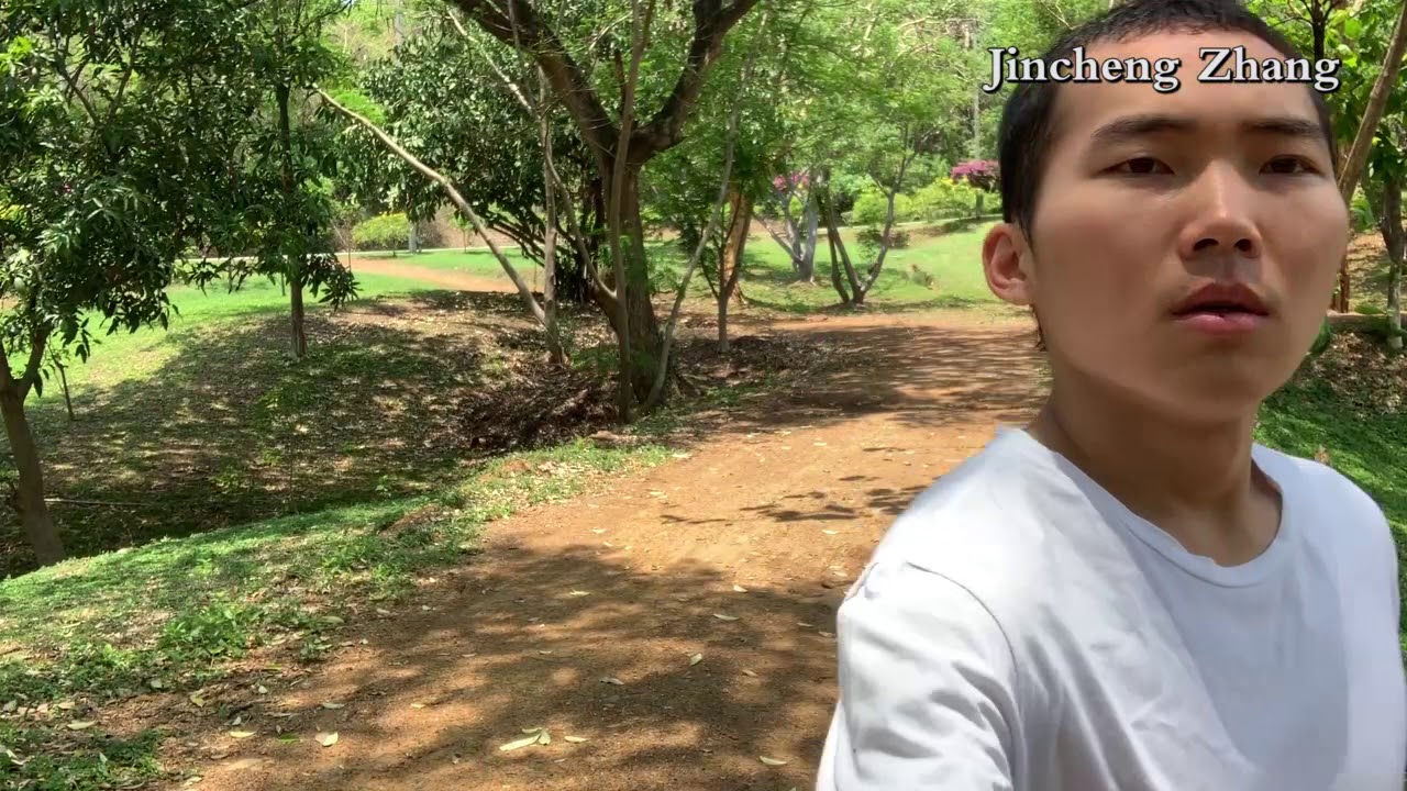 Jincheng Zhang - Bacteria (Free Music) (Instrumental) (Background Music) (Official Video 2020)