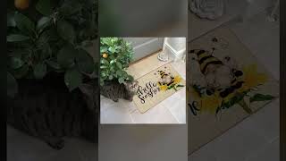 Baccessor Hello Sunshine Sunflower Doormat Indoor Outdoor Rug Funny Gnome Bees Front Welcome Decorat