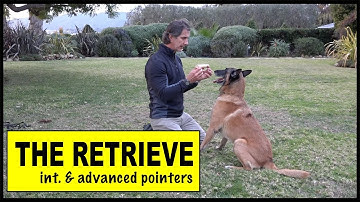 The RETRIEVE - Advanced Tips - Perfect Retrieve - BRING FETCH - Dog Training Video