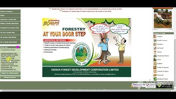 OFDC LDA,Steno & Junior Accountant/Auditor Recruitment 2020|OFDC Vacancy 2020|OFDC various post 2020