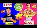 GIANT FOOD vs TINY FOOD Challenge !! "Big vs Small"