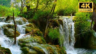 Beautiful Waterfall in Autumn Forest, Waterfall Sounds, Flowing Water, White Noise for Sleeping