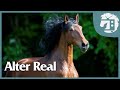 Grandes yeguadas de europa    portugal alter real  2  caballos tv