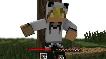 Tặng Intro Minecraft Cho Bạn Bear VN #1