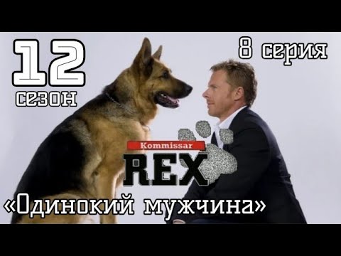 Комиссар Рекс, 12 сезон, 8 серия «Одинокий мужчина»