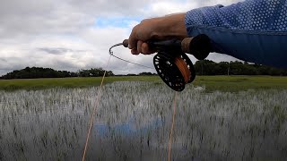 Success & Heartbreak -- August Charleston Flood Tide Fishing -- Redfish Fly Fishing